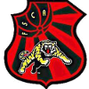 Flamengo de Arcoverde logo