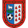 Berriozar CF (W) logo