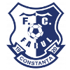 Farul Constanta U19 logo