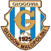 Glogovia Glogow Malopolski logo