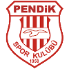 Pendikspor U19 logo