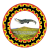 Arba Minch logo