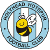 Holyhead logo