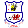 Holyhead logo