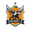 Nova Iguacu Youth logo