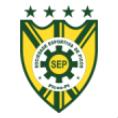 Picos PI logo