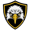 Bangalore Eagles logo