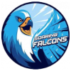 Adamson Falcons logo