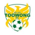 Toowong logo