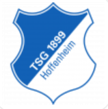 TSG 1899 Hoffenheim II (W) logo