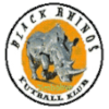 Black Rhinos logo