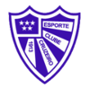 Cruzeiro RS U20 logo