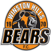 Winston Hills FC logo