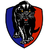 South Adelaide Panthers (W) logo