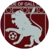 Pride of Gall Hill FC logo