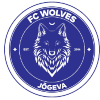 Tallinna Wolves logo