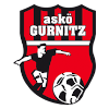 Gurnitz logo
