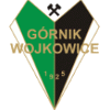 Gornik Wojkowice logo