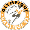 Noisy Le Sec logo