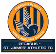 Pegasus logo