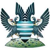 Salisbury City logo