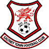 Saul Courtney FC logo