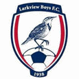 Larkview Boys logo