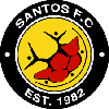 Santos Cape Town logo