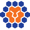 Queensland Lions(W)