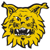 Ilves U20 logo
