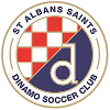 St. Albans Saints U21 logo