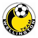 Team Wellington logo