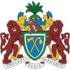 Immigration FC logo