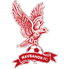 Navbahor (W) logo