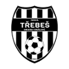 TJ Sokol Trebes logo