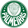 Palmeiras U19 logo