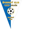 SK Velke Zaluzie logo