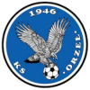 Orzel Zabkowice Slaskie logo
