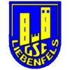 GSC Liebenfels logo