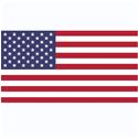 USA VI logo