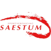 SV Saestum (W) logo