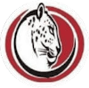 Jaguar FC logo