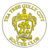 Tea Tree Gully City logo