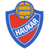 Haukar Hafnarfjordur logo