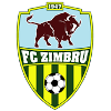 Zimbru Chisinau logo