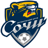 PFC Sochi Youth logo