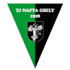 TJ Nafta Gbely logo
