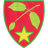 Mostistea Ulmu logo