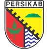 Persikab Bandung logo