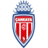 Cankaya FK logo